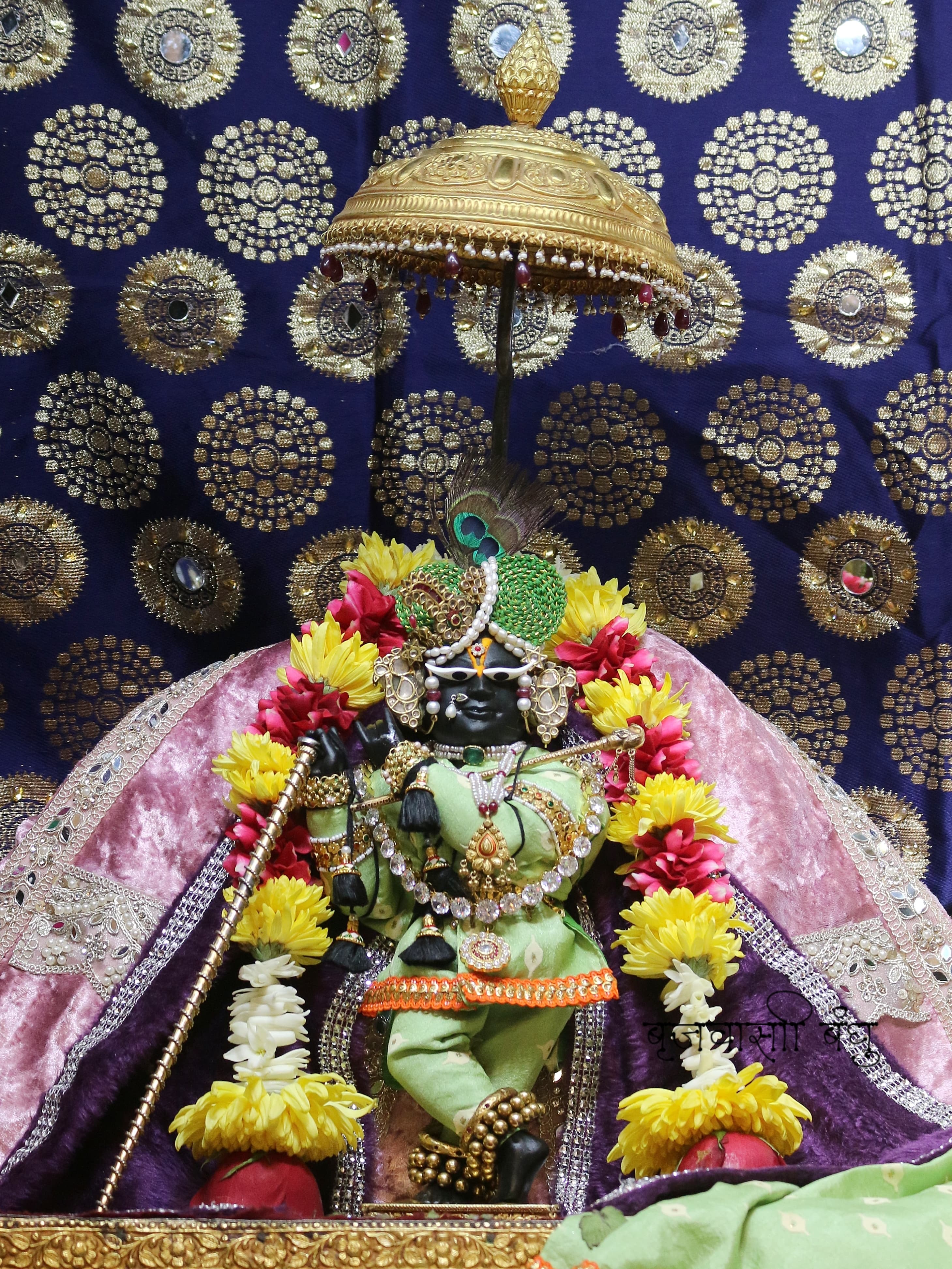 shri radha raman ji