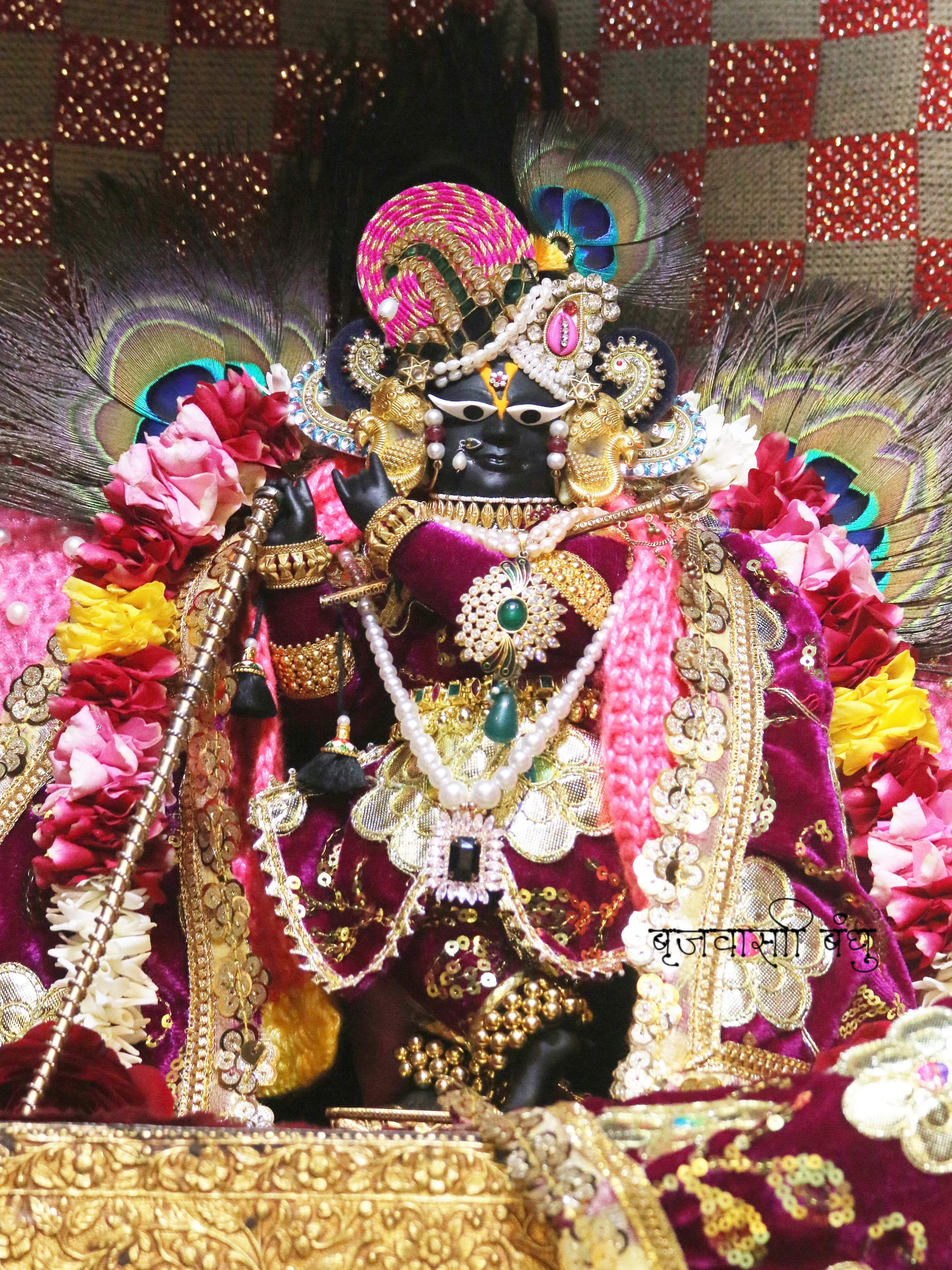 shri radha raman ji