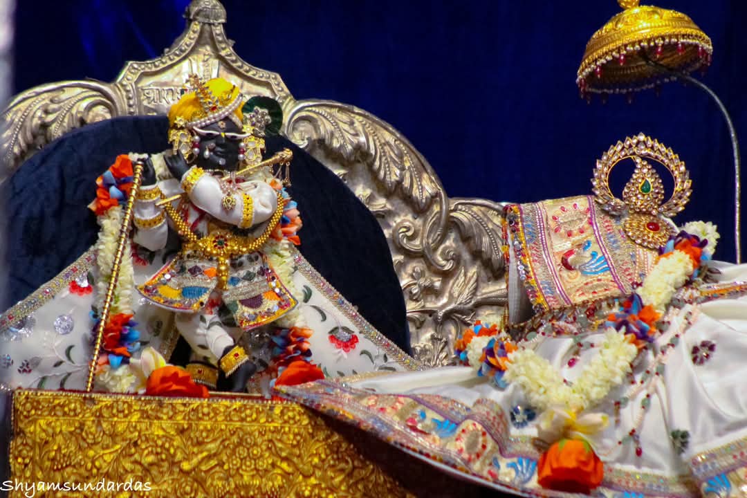 A Living Symbol of Devotion in Vrindavan