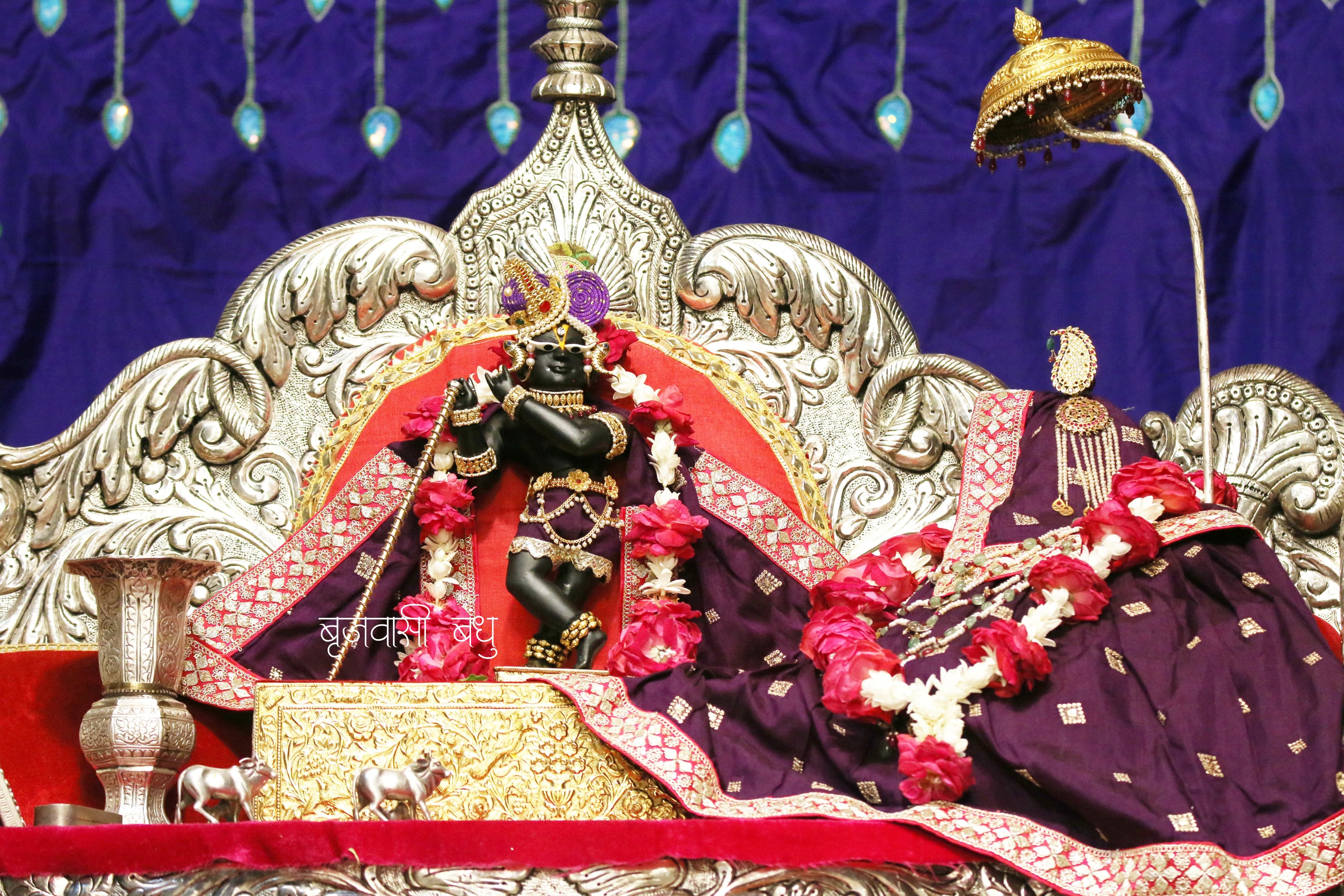Shri Radha Raman Ji Temple – A Divine Guide to One of Vrindavan’s Most Sacred Temples